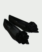 AGL Ballerinas