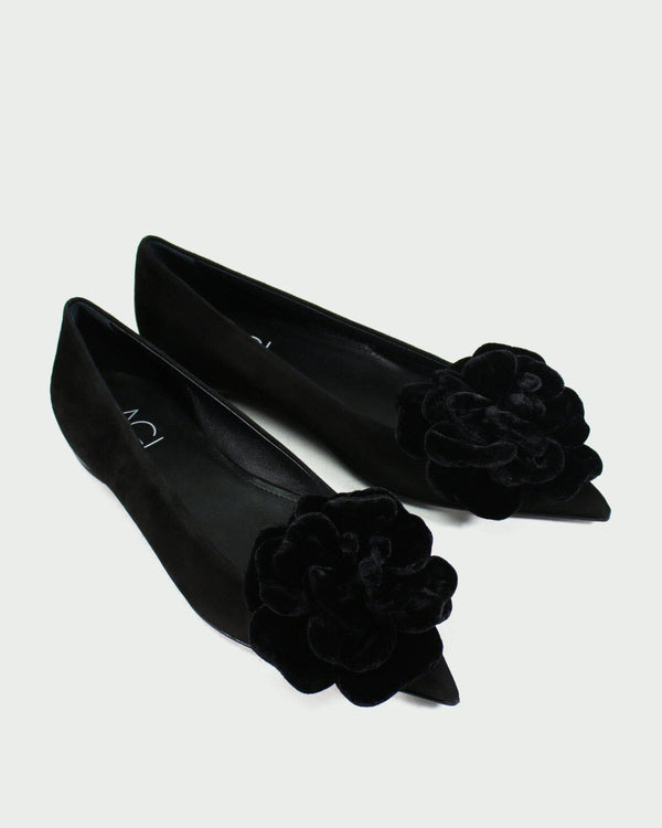 AGL Ballerinas